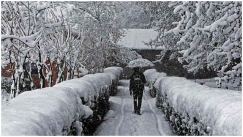 Srinagar records lowest temperature in last 30 yrs at -8.8 degree C