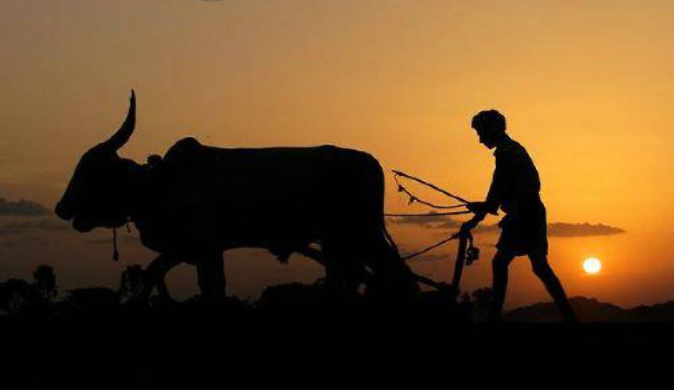 AGRICULTURE--72 हजार किसानों को नहीं मिला 90 करोड़ का अनुदान
