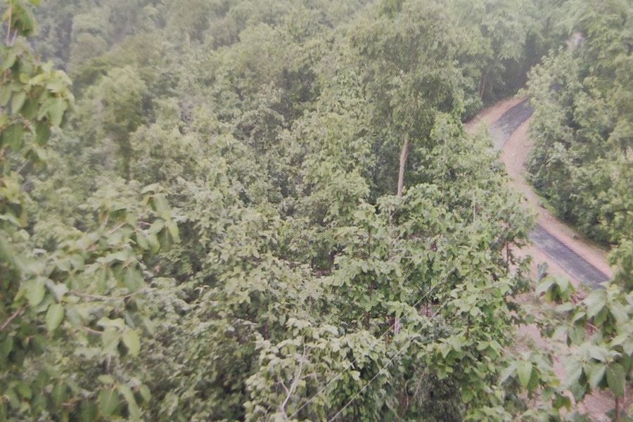 जो 'बीड़ी का आकार नहीं ले सका अब सरकार को दे रहा पांच गुणा ज्यादा राजस्व