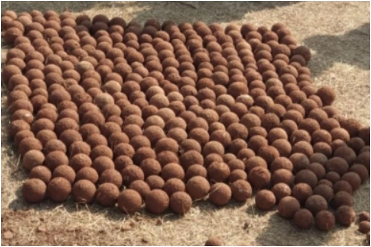 cannon balls in maharashtra more than 400 chhatrapati shivaji maharaj