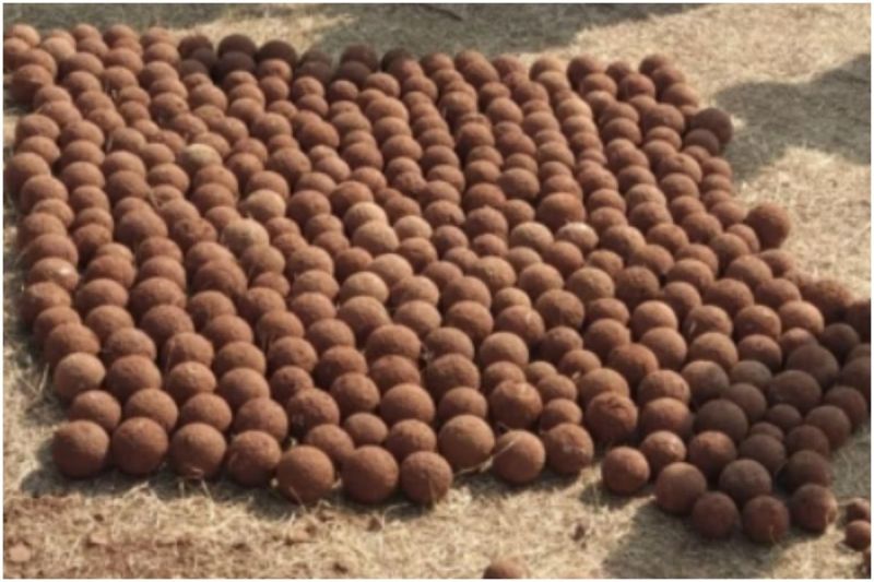 cannon balls in maharashtra more than 400 chhatrapati shivaji maharaj