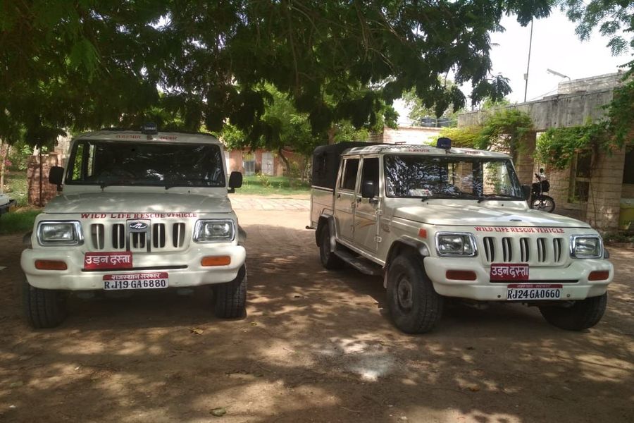 15 साल पुराने नकारा वाहनों से हो रही 12 जिलों के वन्यजीवों की रक्षा