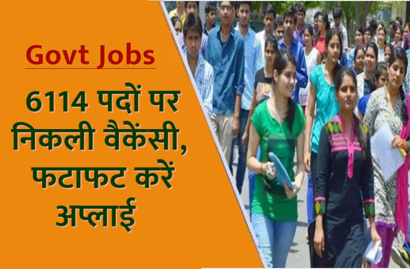 govt_jobs.png