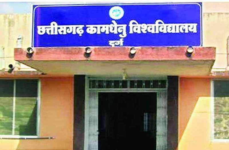 सुनहरा मौका: बारहवीं पास विद्यार्थियों को डेयरी डिप्लोमा कोर्स में सीधे मिलेगा प्रवेश, 60 सीटों के लिए यहां करें आवेदन