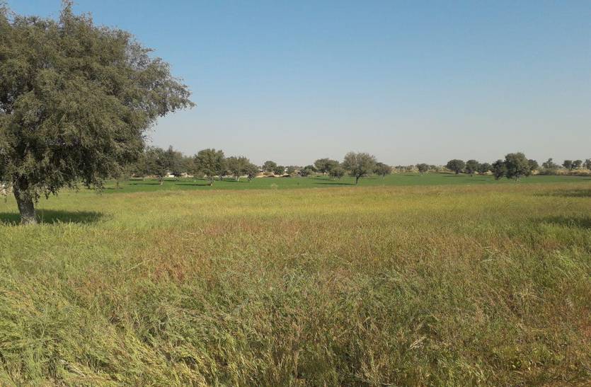 मौसम का बदला मिजाज, गर्मी ने दी दस्तक