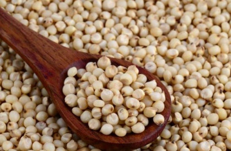 सेहत के लिए बहुत फायदेमंद है ज्वार की रोटी, एक रोटी से मिलती है 49 कैलोरी