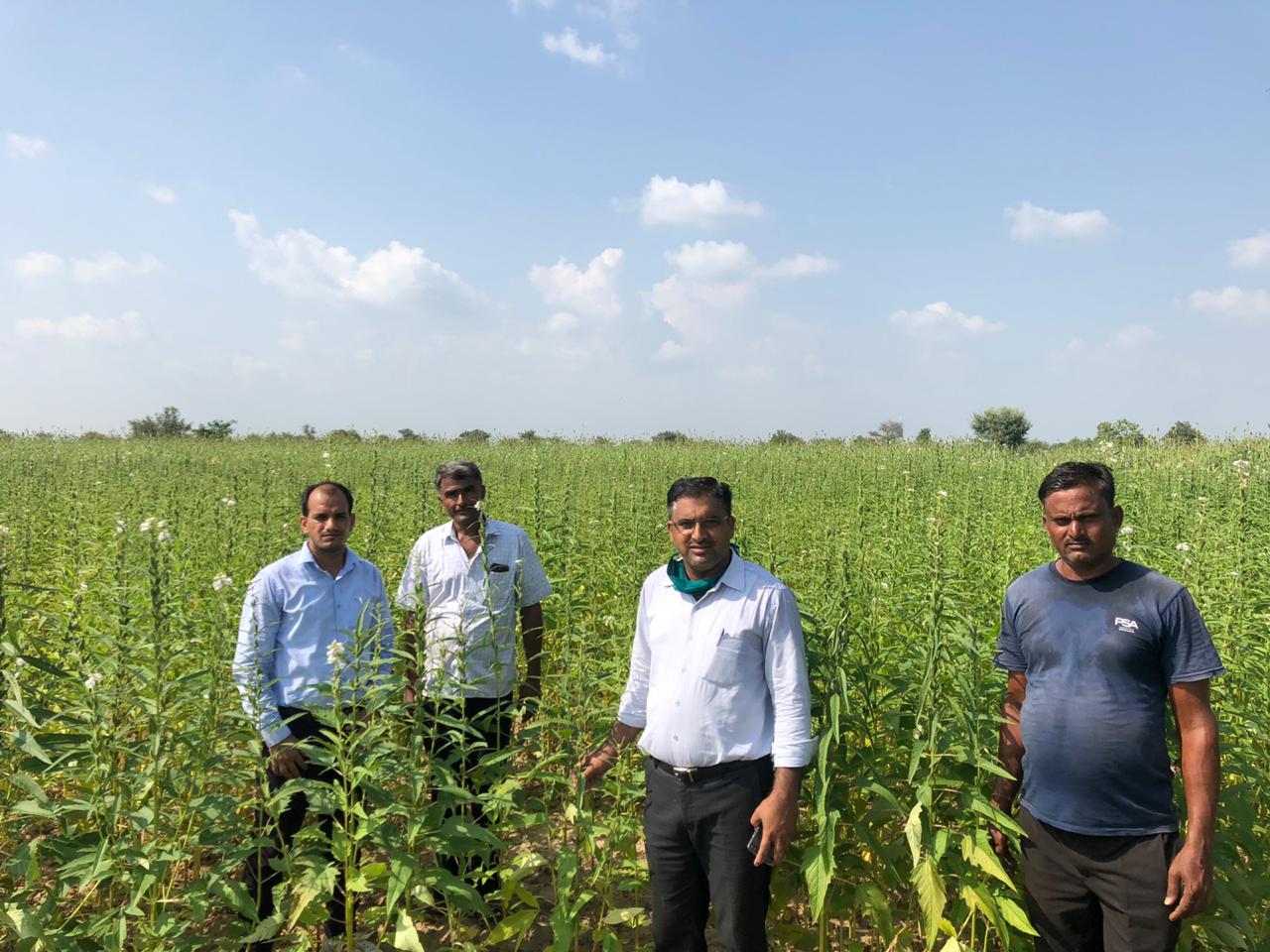ORGANIC FARMING----जैविक कृषि ने खोले उन्नति के द्वार