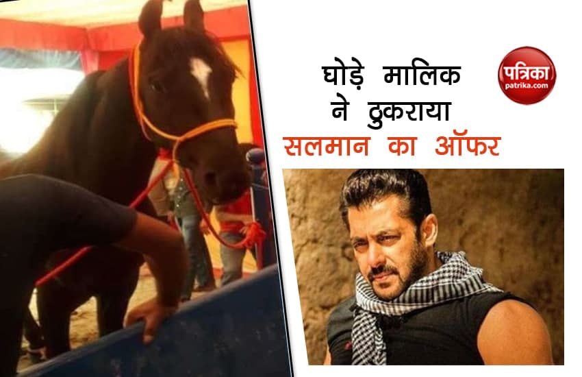 Salman Khan and horse