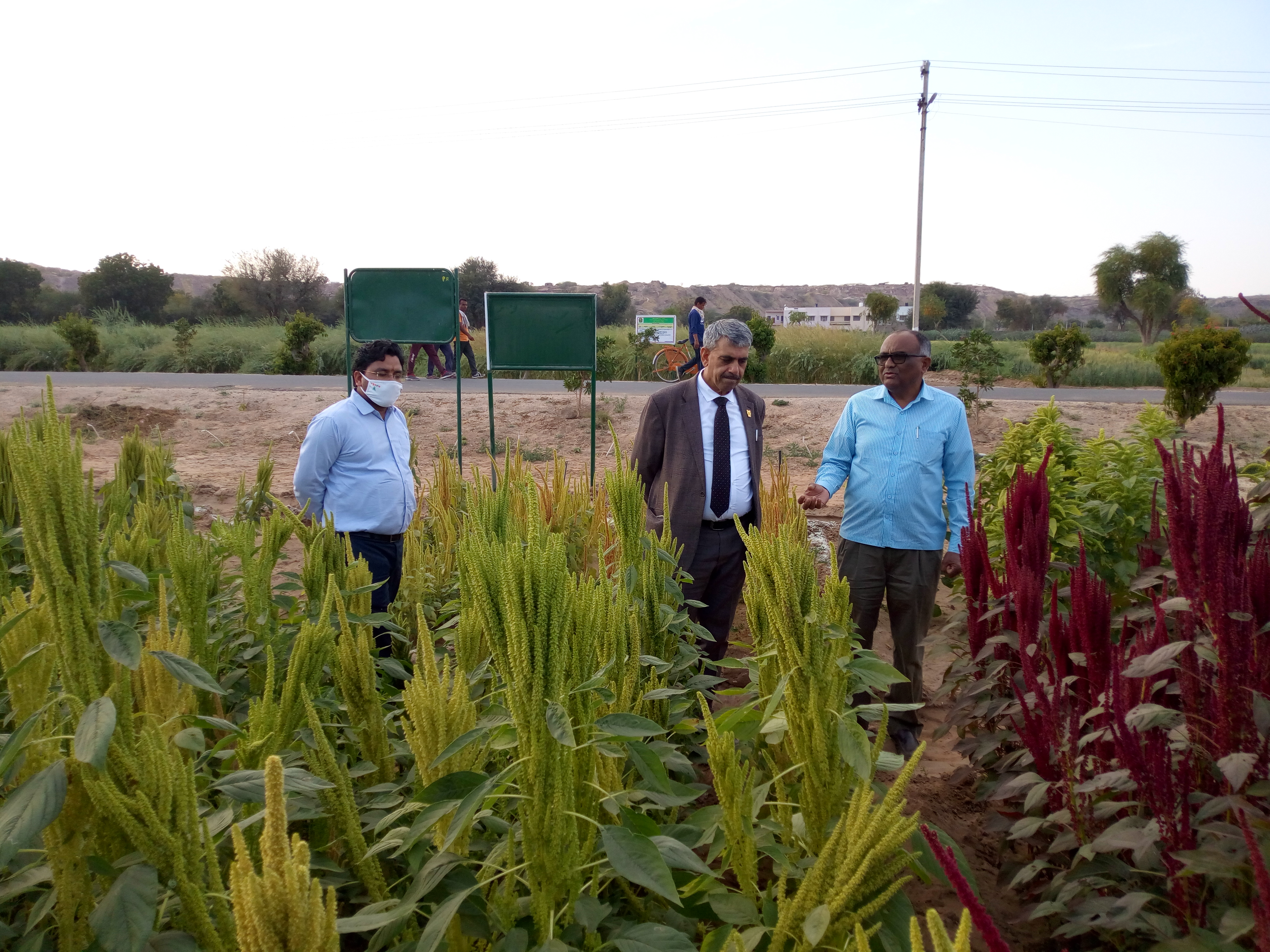 AGRI--सहायक महानिदेशक ने देखी अनुसंधान व बीज उत्पादन गतिविधियां