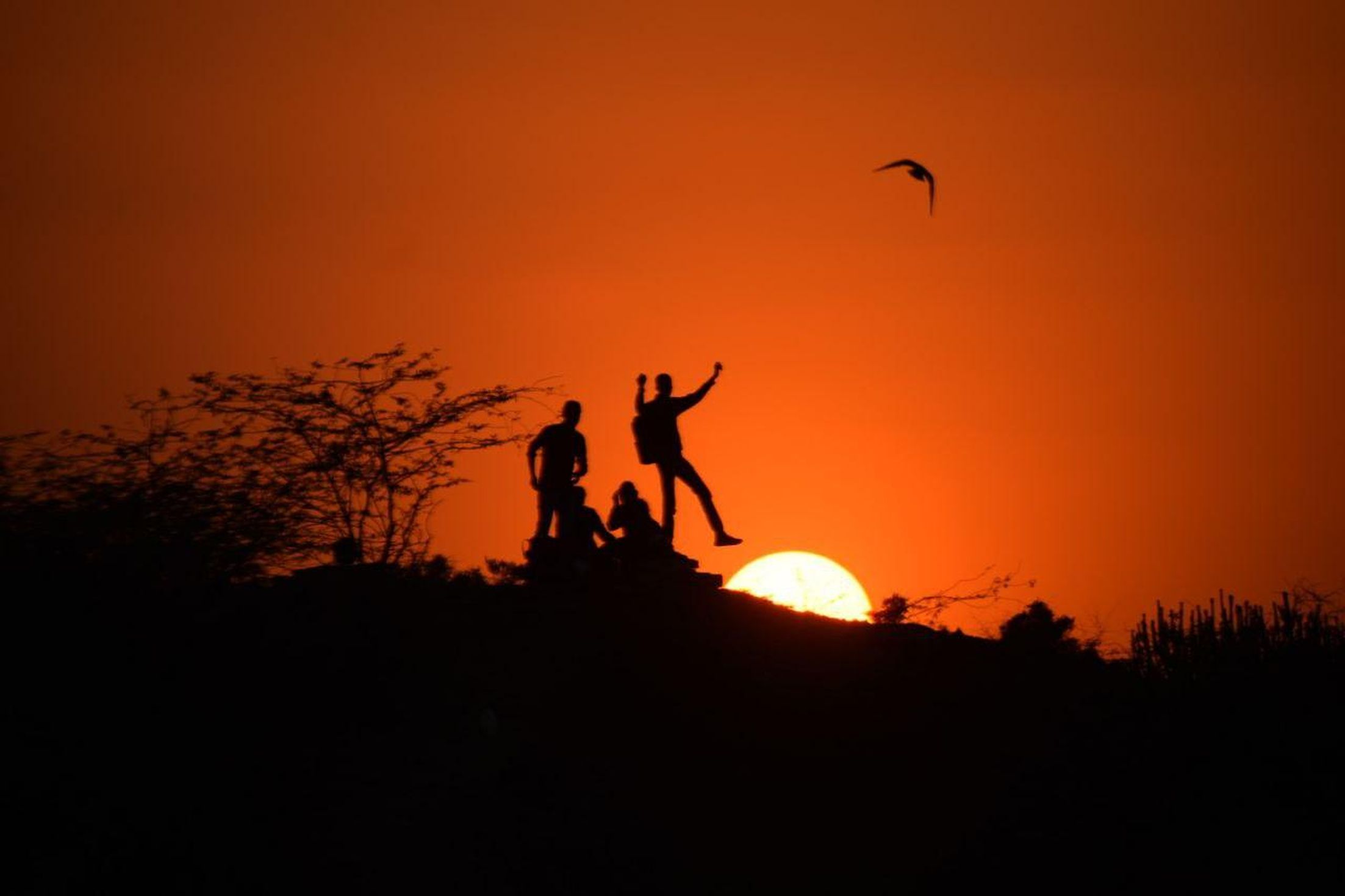 अगले सप्ताह तापमान में होगी बढ़ोतरी
