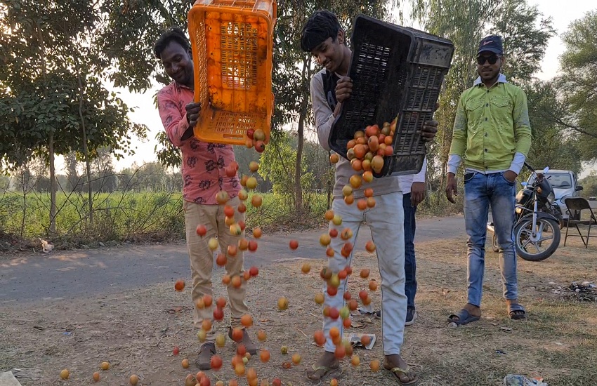 Ahmadabad News : आणंद में किसानों ने सड़क पर फेंके टमाटर