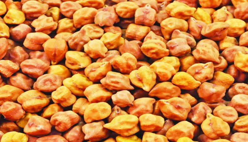 लॉकडाउन में मुफ्त का चना पसंद नहीं आया, प्रदेश की राशन दुकानों में छह महीने से सड़ रहा है 7 करोड़ का चना