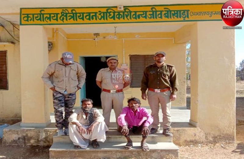 मारवाड़-मेवाड़ सीमा में सालर पेड़ों पर टैपिंग करते वन विभाग ने पकड़े दो सदिग्ध, पूछताछ जारी