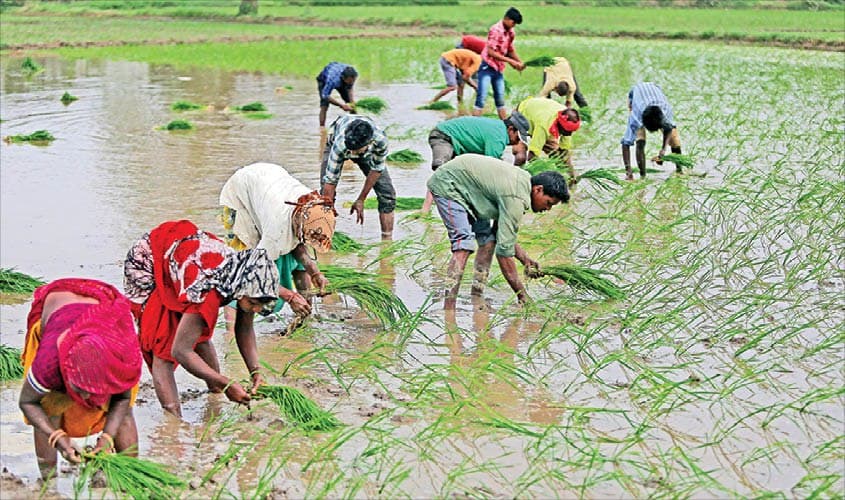 This digital card will increase farmers income, spending only Rs 250