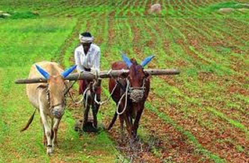 Rajasthan Budget 2021-22: Ashok Gehlot announces farmers