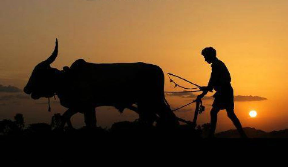 मीटर श्रेणी के कृषि उपभोक्ताओं को मिलेगा 1 हजार रुपए अनुदान