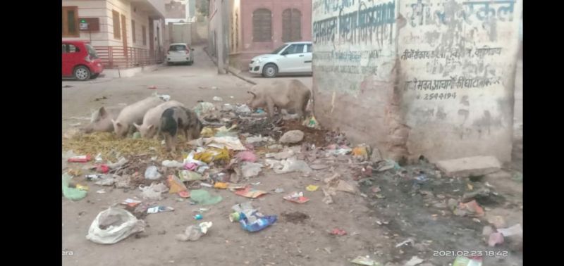 स्वच्छता सर्वेक्षण सिर पर, सिरे नहीं चढ़ रही रात्रिकालीन सफाई व्यवस्था