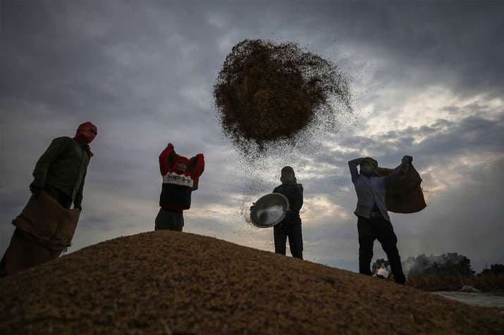 Production of food grains estimated to be record 303.3 million tonnes