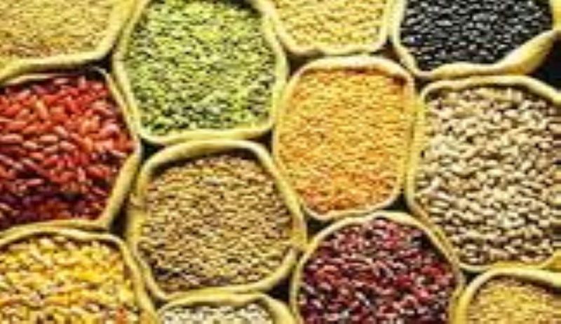 जोधपुर कृषि मंडी भाव