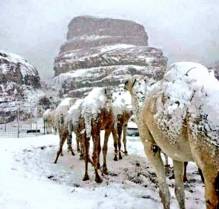 Snowfall In Saudi Arabia 2021