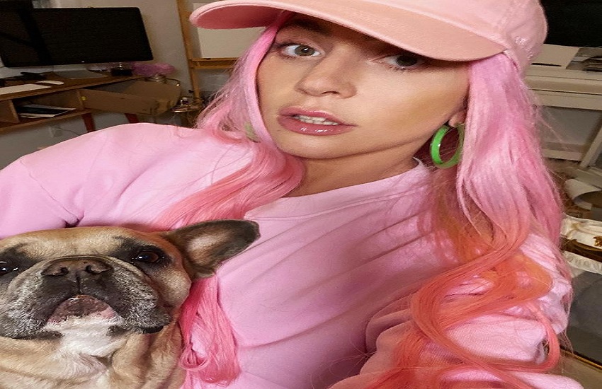 Lady Gaga's dogs stolen