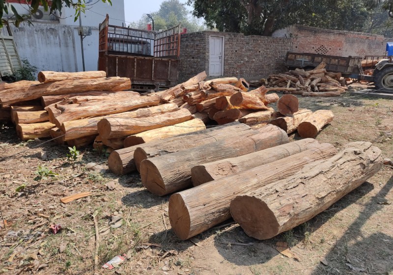 बेशकीमती लकड़ियों के साथ दो ट्रैक्टर ट्रॉली बरामद, पांच के खिलाफ मुकदमा दर्ज