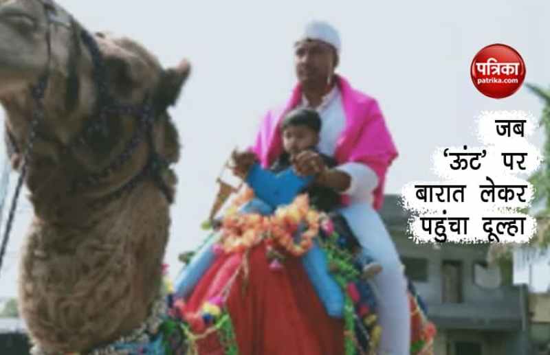 groom on camel