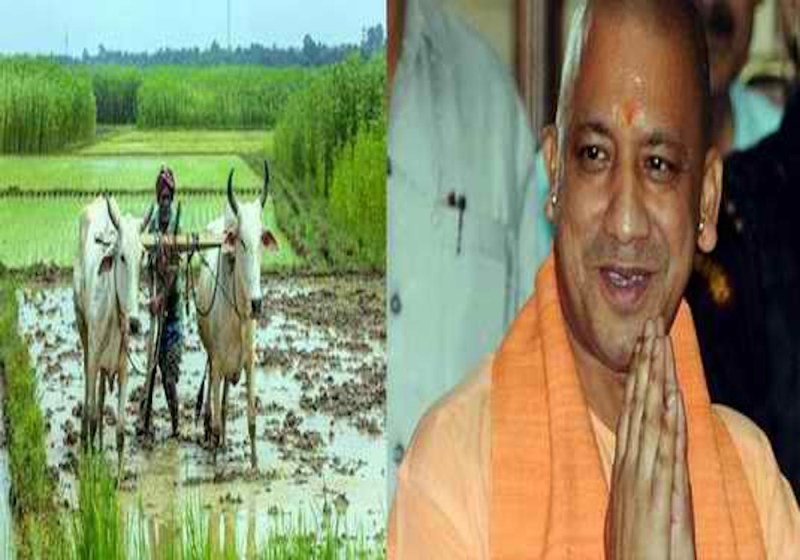 योगी सरकार का बड़ा फैसला, यूपी में हर किसान का बनेगा क्रेडिट कार्ड, 15 अप्रैल तक चलेगा अभियान, इस तरह करना होगा आवेदन