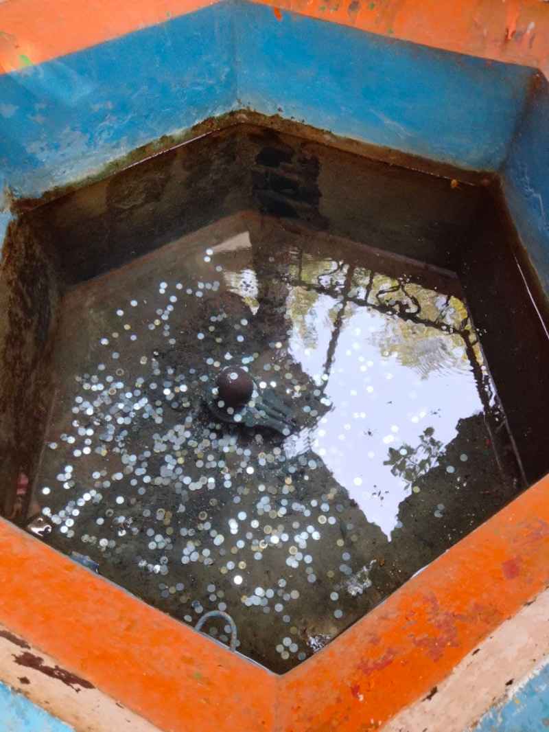 Son river originated due to the tenacity of Brahma