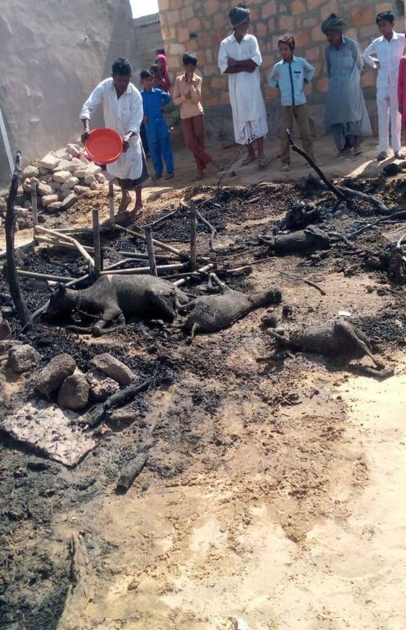 आग से आठ पशुओं की मौत, घरेलू सामान जला