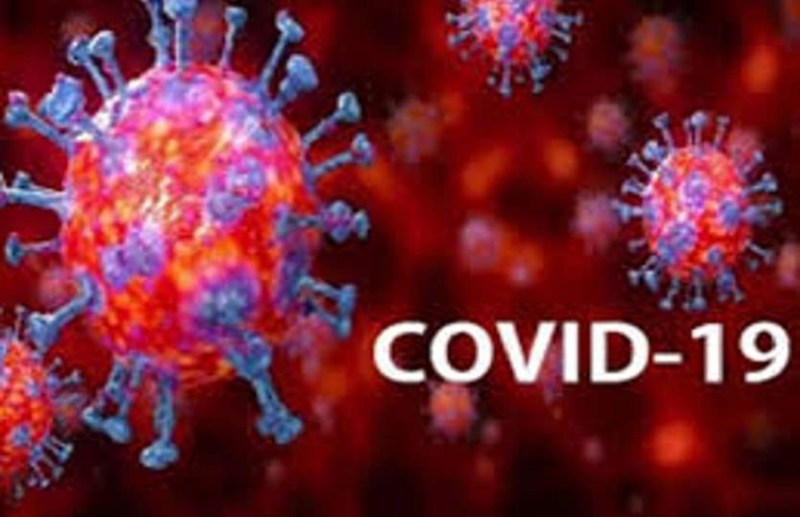 Ahmadabad News : मारवाड़ी कैंपस समेत जिले के 28 क्षेत्र माइक्रोकंटेनमेंट घोषित