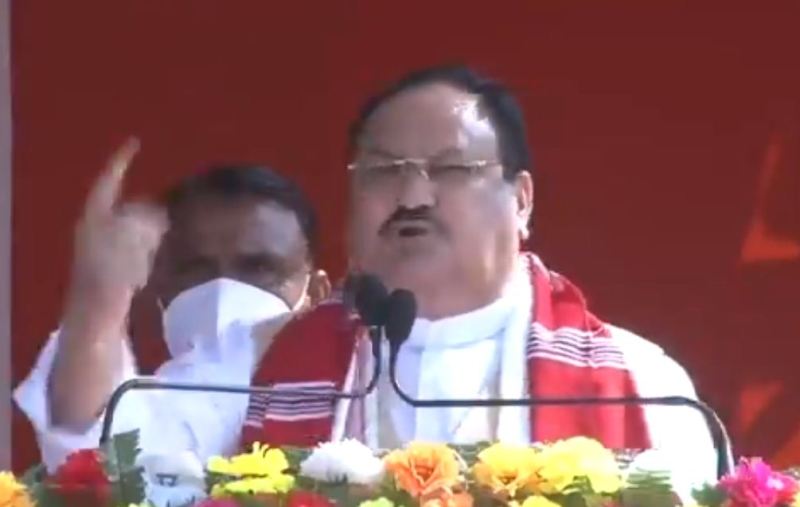 JP Nadda BJP President