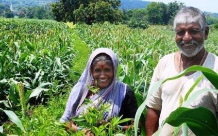 'PM Kisan Samman