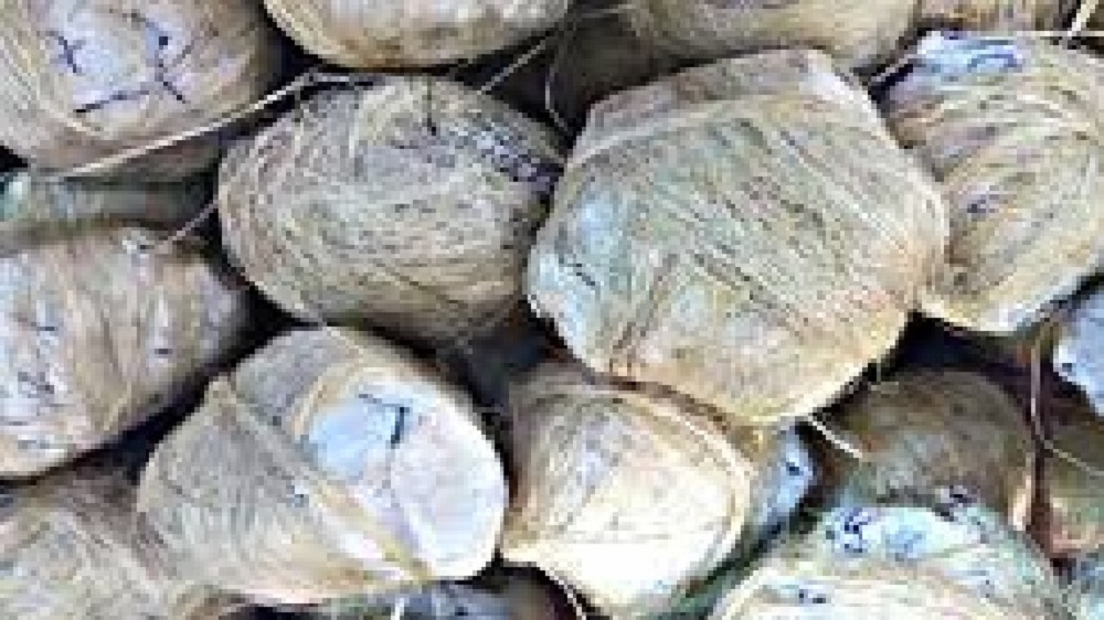 West Bengal Assembly Elections 2021: फिर सुलगा भाटपाड़ा, भाजपा सांसद के घर के पास बामबाजी, तीन लोग घायल