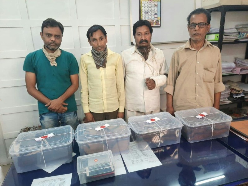 टाइगर की खाल के साथ चार आरोपी गिरफ्तार, ढाई करोड़ में बेचने की फिराक में थे आरोपी