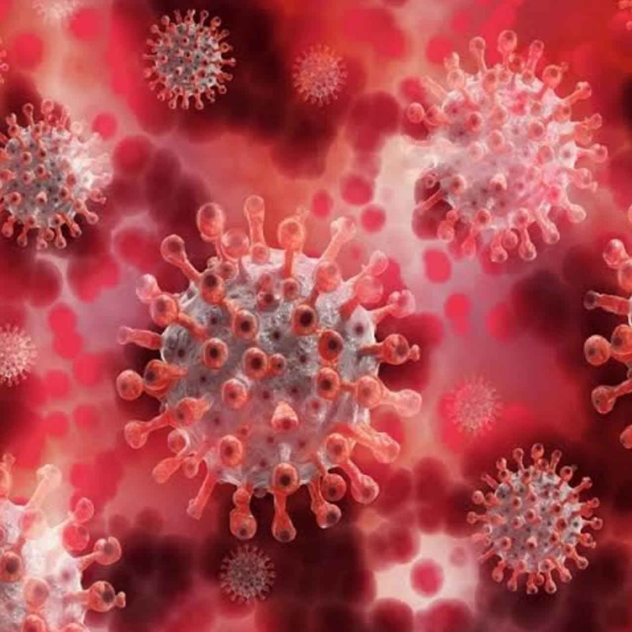 कोविड-19 अपडेट - प्रोटोकॉल का उल्लंघन पड़ रहा भारी, पॉजिटिव की संख्या में दिन-प्रतिदिन वृद्धि