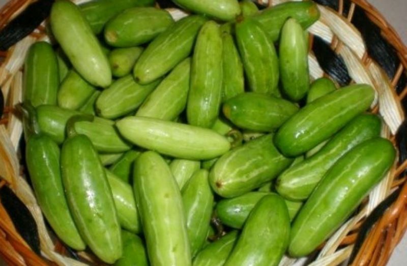 कुंदरू से बढ़ेगी इम्यूनिटी, हार्ट भी रहेगा स्वस्थ्य....