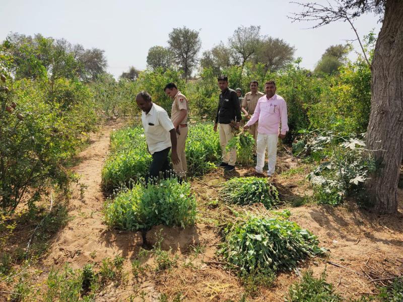 अनार के पौधों के बीच मिला कुछ ऐसा की पुलिस भी रह गई हैरान