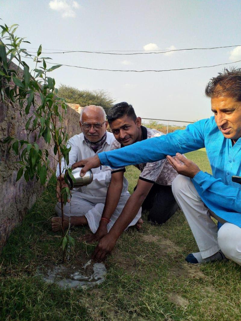 श्रद्धेय कर्पूरचंद्र कुलिश की जयंती पर पौधारोपण