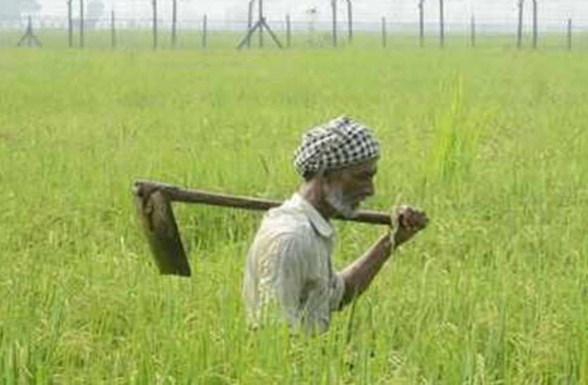 किसानों को राहत: एक महीने के लिए बढ़ाई गई फसल ऋण वसूली की अवधि
