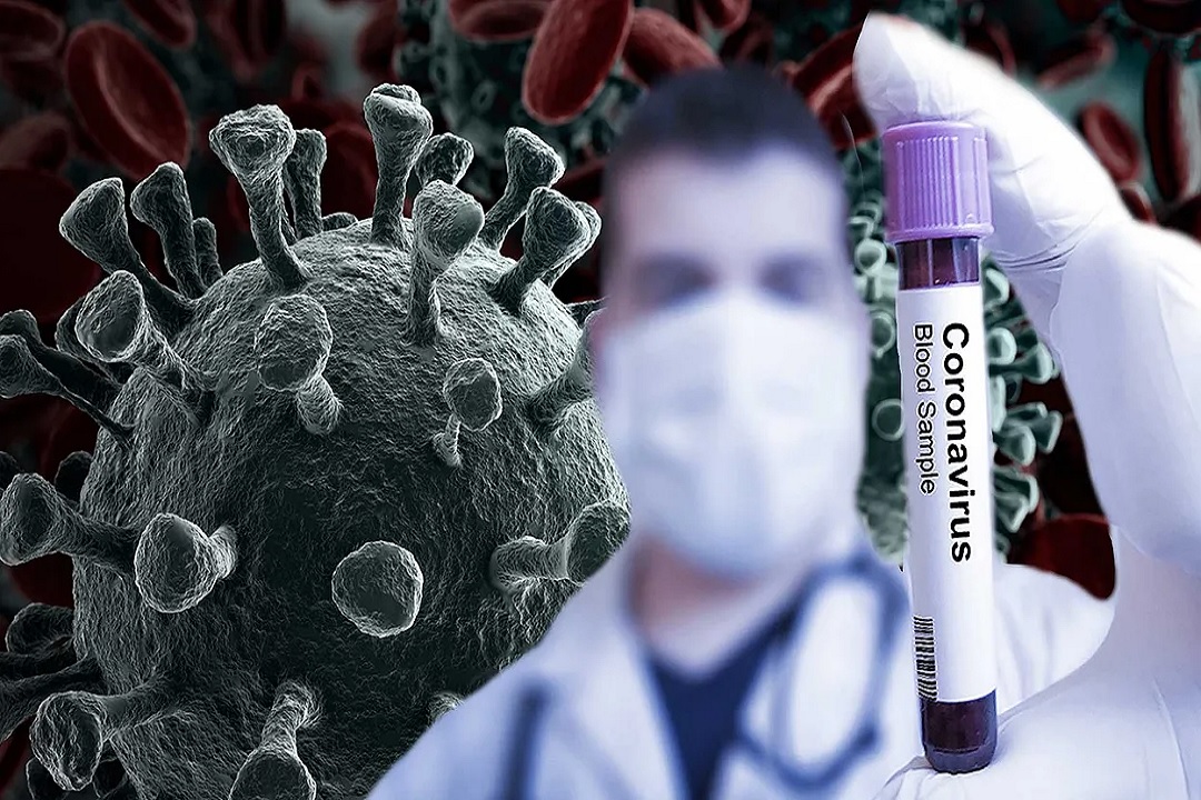 कोरोना वायरस (प्रतीकात्मक फोटो)