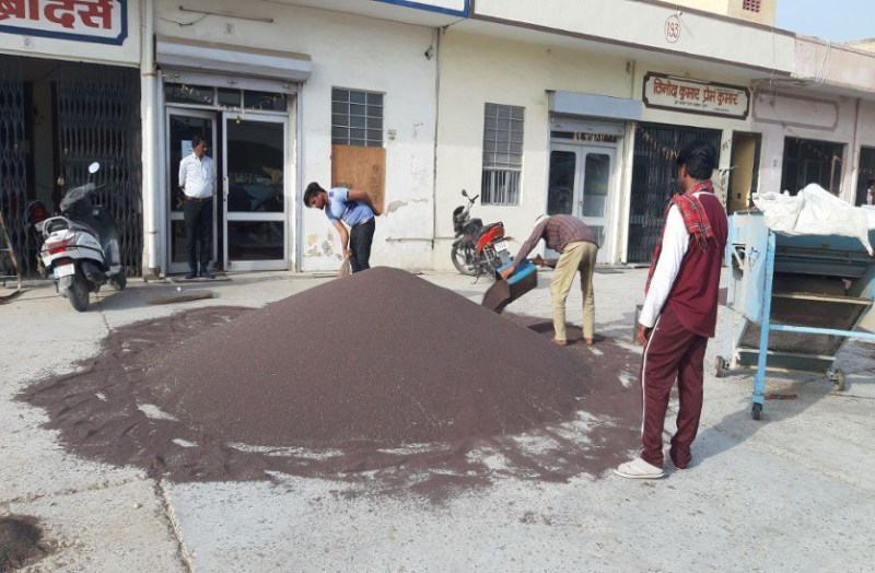 सरसों के भाव में उछाल, 5549 रुपए प्रति क्विंटल तक बिकी