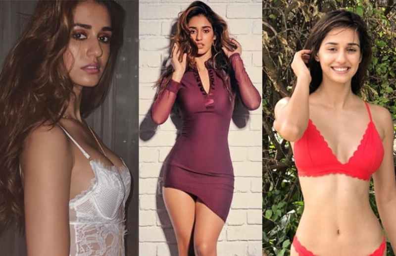 Disha Patani Hot Photos