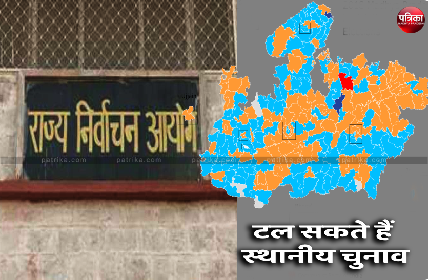 Local elections mp