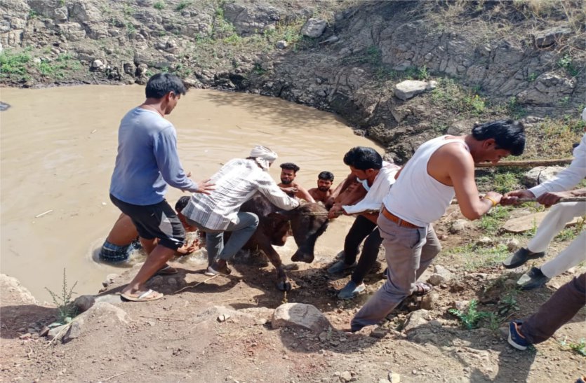 Know what happened that the villagers had to call the police