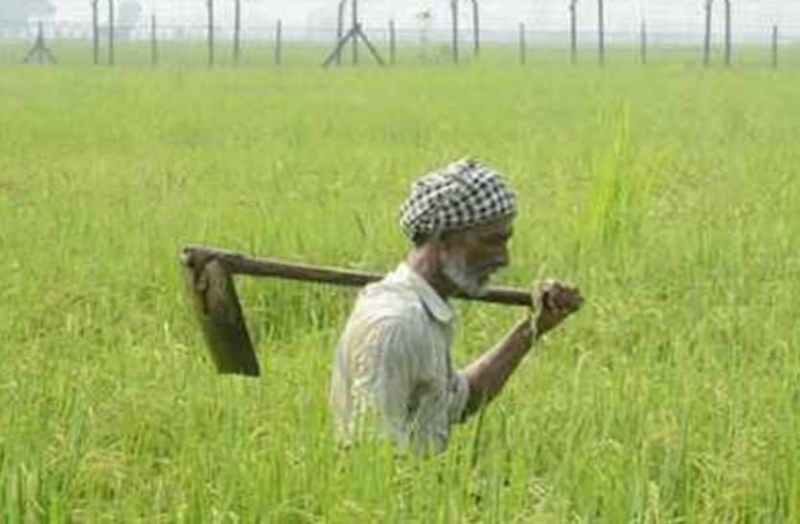 किसानों को राहत: अब जल्द शुरू होगा मॉडल मण्डियों का कार्य, कृषक विश्राम-गृह