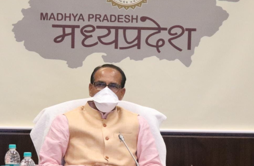 घरेलू हिंसा: सीएम का निर्देश, दोषी व्यक्तियों के खिलाफ सख्त कार्रवाई की जाए