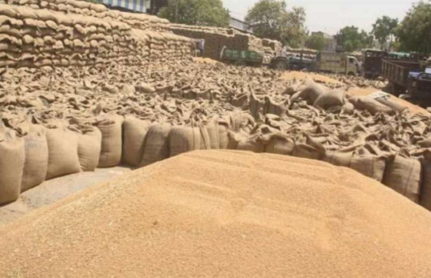 Purchased wheat in MP: mixing old and non-standard new wheat