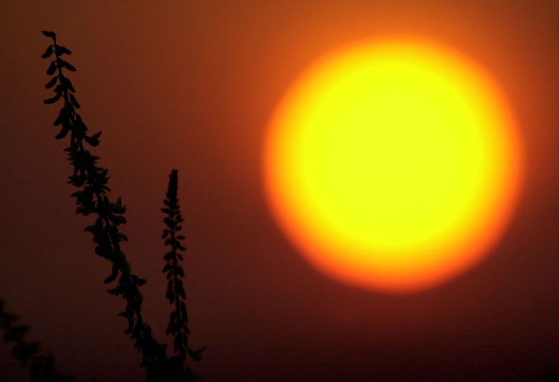 सूरज ने आग उगली, अगले 48 घण्टे में लू चलने की चेतावनी