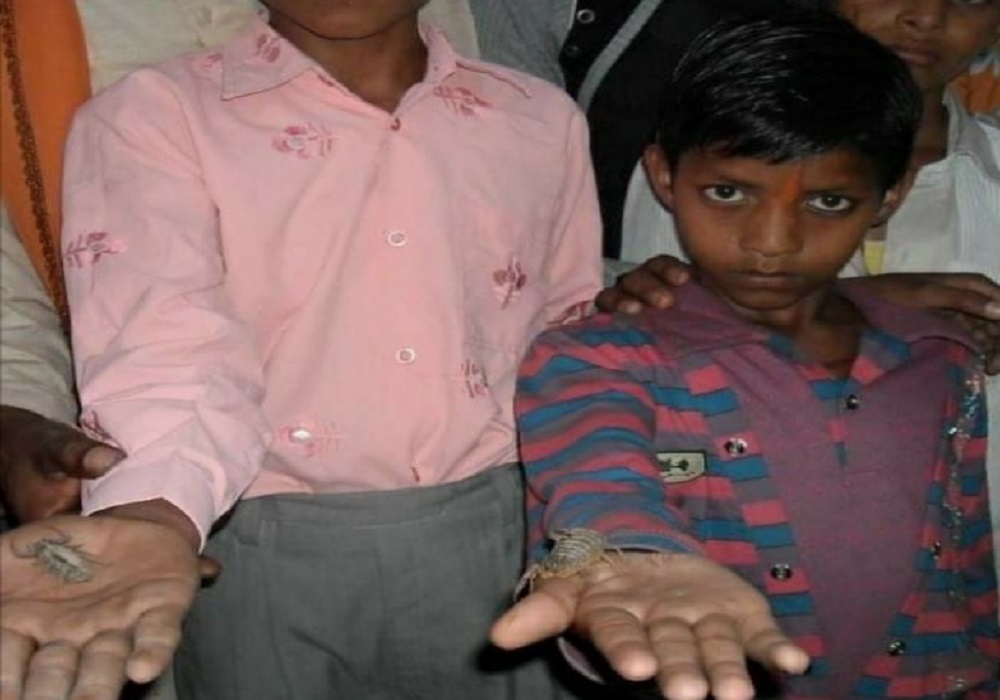 यहां जहरीले बिच्छुओं से होली खेलने की है परंपरा, सैकड़ों वर्ष से चली आ रही प्रथा, टीले का अनोखा रहस्य